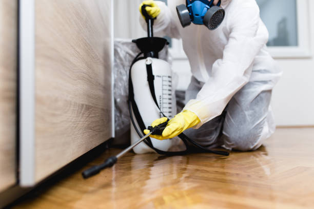 Best Wildlife Control Services  in Meadville, PA