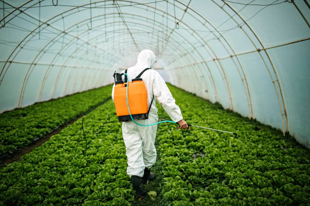 Best Pest Removal Services  in Meadville, PA