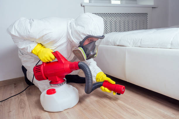 Pest Control for Restaurants in Meadville, PA
