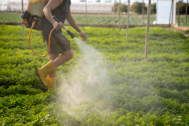 Best Affordable Pest Control Services  in Meadville, PA