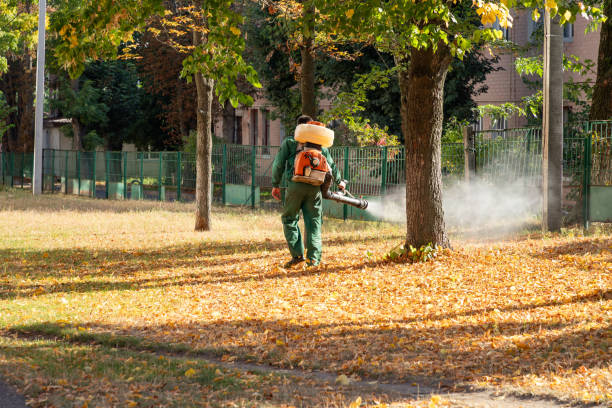 Flea Control Services in Meadville, PA