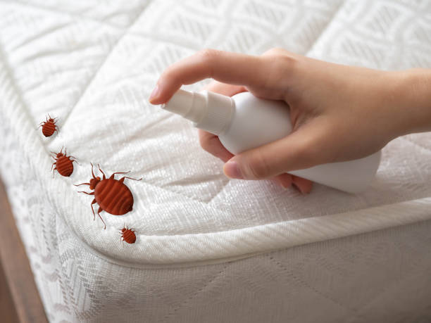 Professional Pest Control in Meadville, PA