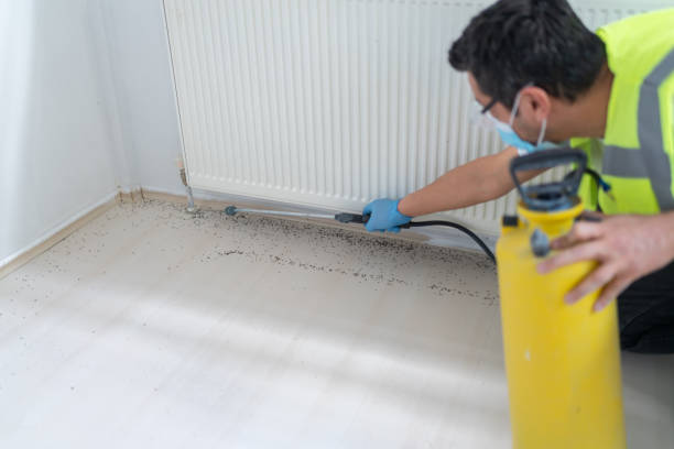 Best Pest Prevention Services  in Meadville, PA