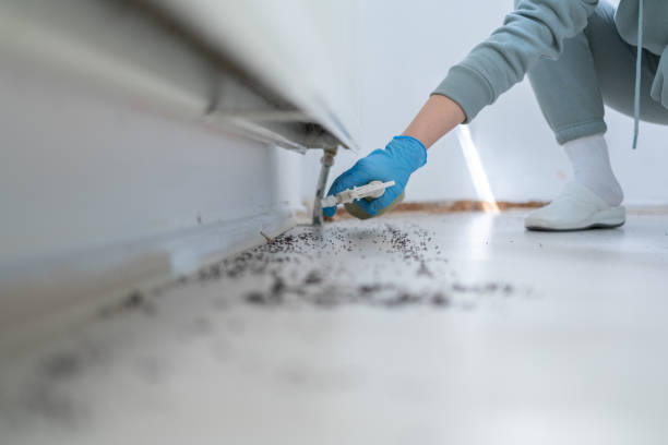 Wildlife Control Services in Meadville, PA