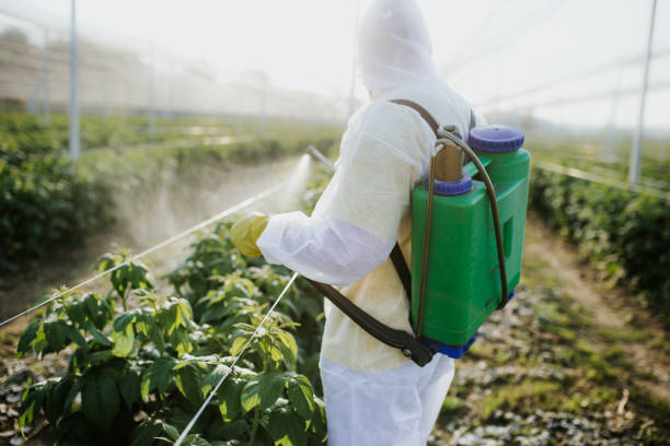 Best Cockroach Control Services  in Meadville, PA
